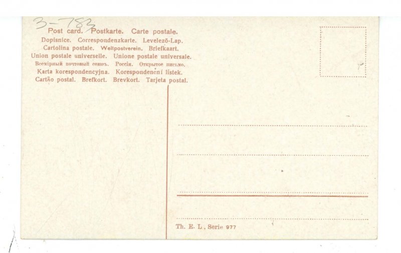 Dogs - St. Bernard Puppies