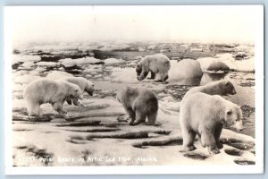 Artic Ice Floe Alaska AK Postcard RPPC Photo Bears Scene Winter c1950's Vintage