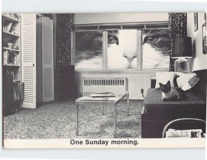 Postcard A Cute Cat on the Couch & A Giant Cat by the Window One Sunday Morning