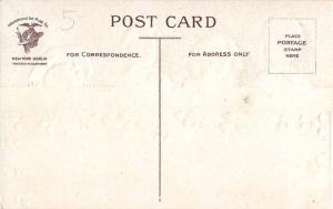 Clapsaddle Irish Children St. Patricks L5070 antique postcard