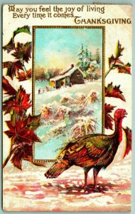 Thanksgiving Greetings Turkey Winter Cabin Maple Leafs Embossed DB Postcard I10