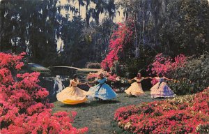 Flowers and Southern Belles Dancing - Cypress Gardens, Florida FL  