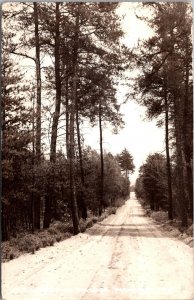 RPPC, Scenic Road in Au Gres MI c1940 Vintage Postcard V67