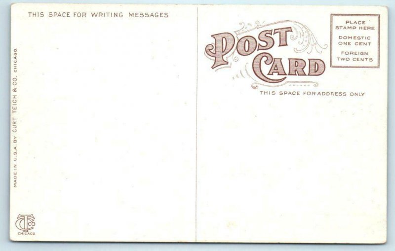 TUCSON, Arizona AZ  ~ BIRDSEYE ca 1910s  Postcard