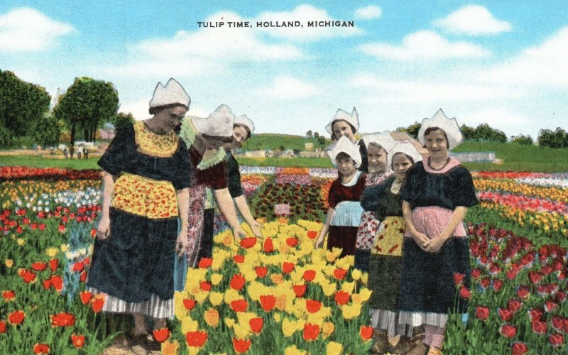 Vintage Postcard Tulip Time Holland Michigan Vanden Verge Cigar Pub.