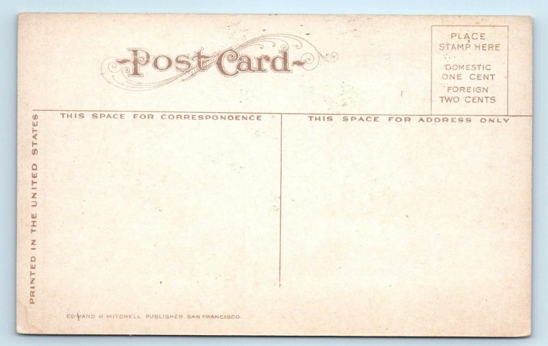ASHLAND, Oregon OR ~ General View BIRD'S EYE c 1910s  Postcard