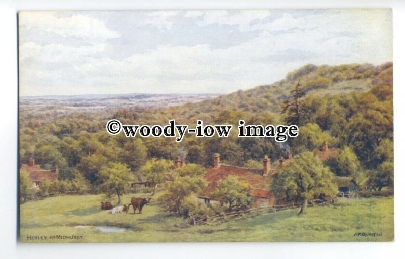 tq0262 - Hants -  Cattle in Field, Henley Village,Artist A,R.Quinton - postcard