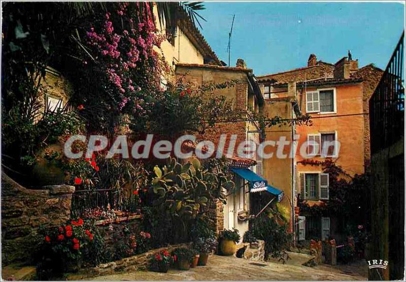 Modern Postcard La Cote D'Azur Bormes les Mimosas a picturesque corner
