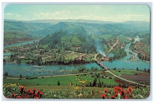 c1960 Bird's Eye View Of Residences In Kooskia Idaho ID Unposted Flower Postcard