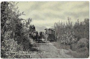 On the Road to Blue Mountain Lake Adirondack Mts New York  1909