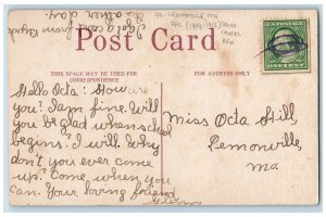 DPO (1898-1915) Lemonville Missouri MO Postcard Pink Flowers Hand Cancel RFO
