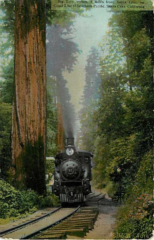 Big Tree Station, Southern Pacific, near Santa Cruz, CA,1909 Divided Back ,