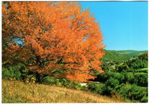 White River Valley, Vermont