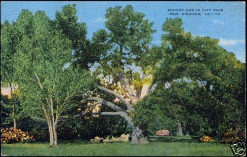 New Orleans L.A., City Park, Suicide Oak (1953)