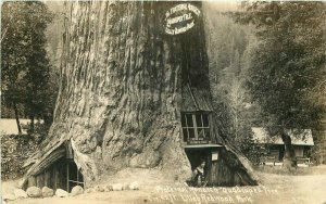 Mendocino Piercy California Patterson Redwood Highway RPPC Photo Postcard 20-22