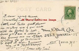 Mexico, Farmers Gathering Pineapples, H.H. Stratton 