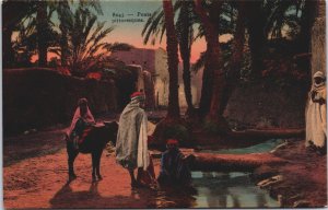 Algeria Ponts Pittoresques  Vintage Postcard C153