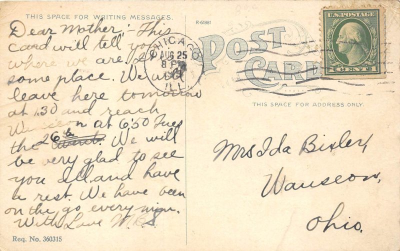 Chicago Illinois 1909 Postcard Cattle Dressing After The Knockout