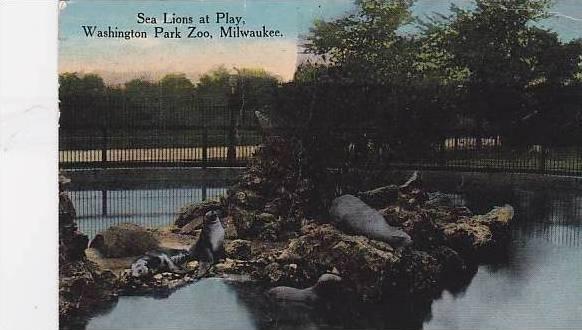 Wisconsin Milwaukee Sea Lions Play At Washington Park Zoo