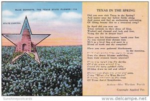 Blue Bonnets The Texas State lower And State Capitol Texas