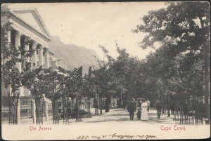 South Africa Postcard - The Avenue, Cape Town    RS1173