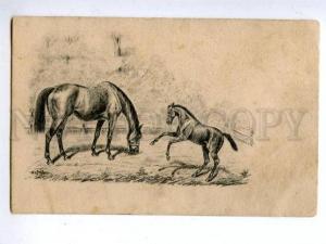 144368 HORSE & FOAL on Field by GAFFON vintage PC