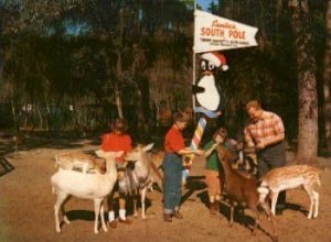 Tommy Bartlett's Deer Ranch - Silver Springs, Florida FL
