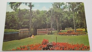 Glass Bottom Boats Silver Springs Florida Vintage Postcard