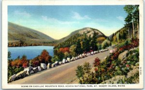 M-39895 Scene on Cadillac Mountain Road Acadia National Park Mt Desert Island...