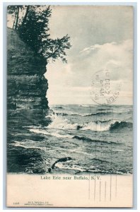 c1910's View Of Lake Erie Near Buffalo New York NY Posted Antique Postcard