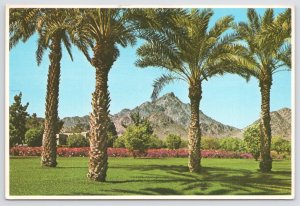 Phoenix Arizona~Squaw Peak From AZ Biltmore Hotel~Continental Postcard
