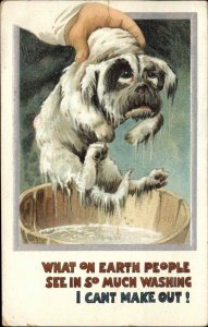 Comic Sad Wet Dog Washing Comic c1910 Vintage Postcard