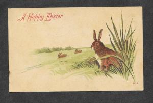 1909 Postcard Easter Bunny!
