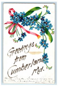 c1905 Greetings from Cumberland Maryland MD Flower Ribbon Glitters Postcard