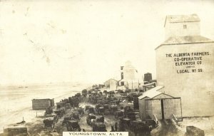 canada, YOUNGSTOWN, ALTA., Farmers Co-Operative Elevator Co. (1910s) RPPC