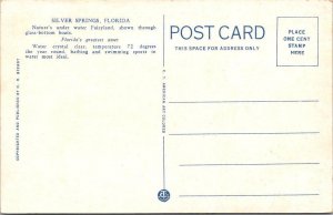 Silver Springs, FL Florida  THE TWO DEARS Bathing Beauty & Deer ca1920s Postcard