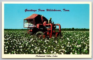Farming~Greetings From Whitehaven Tennessee~Mechanical Cotton Picker~Vintage PC