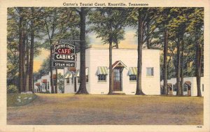 Carter's Tourist Court Cabins Knoxville Tennessee linen postcard
