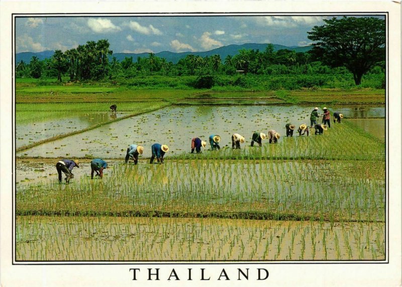CPM AK THAILAND Thailand (345133)
