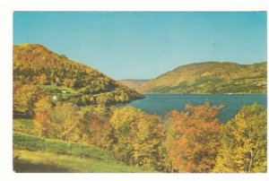 Autumn, Ingonish Ferry, Cabot Trail, Cape Breton, NS, Vintage Chrome Postcard