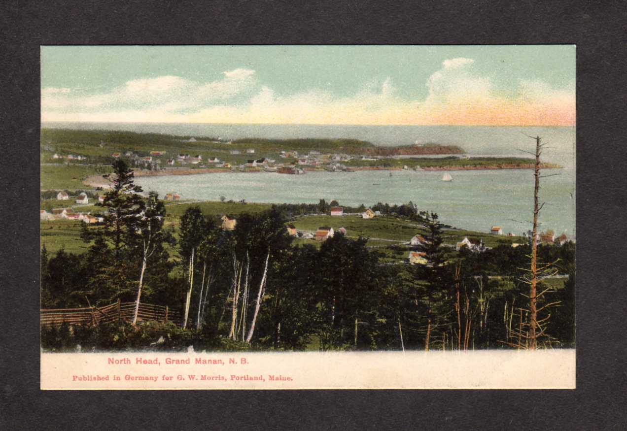 Nb North Head Harbor Grand Manan New Brunswick Canada Postcard Carte Postale Canada New Brunswick Other Postcard Hippostcard