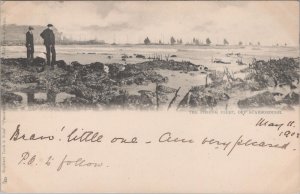 Yorkshire Postcard - The Fishing Fleet, off Scarborough  XT180