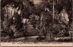 Guinea Conakry Jardin Public Vintage Postcard  C010