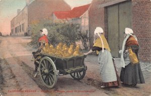 Belgium Laitieres Belges Ferme apres le proces-verbal Milk Maids postcard B914