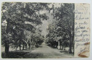 VINTAGE UNDIVIDED POSTCARD - EAST DRIVE ELLERSLIE RHINEBECK NEW YORK