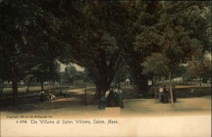 Salem Massachusetts MA The Willows Rotograph c1900s-10s Postcard