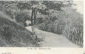 Essex Postcard - On The Cliffs - Southend-on-Sea - Ref 9875A