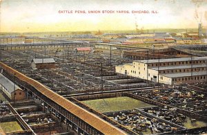 Cattle Pens, Union Stock Yards Chicago, Illinois, USA Cow Unused 