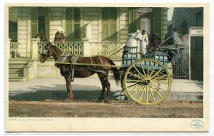 Horse Milk Cart New Orleans Louisiana 1910c Phostint postcard