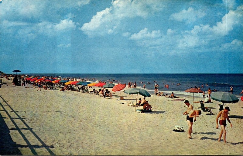 Virginia Virginia Beach Sun Bathers On The Beach